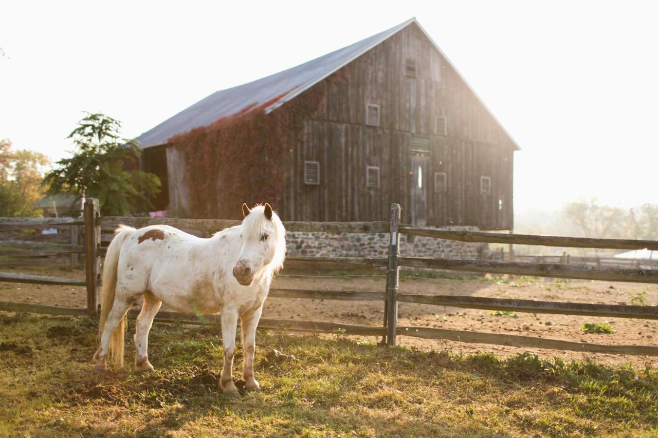 Gettysburg Battlefield Bed & Breakfast Inn エクステリア 写真